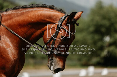 © Niki Buchegger, turnier-fotos.at