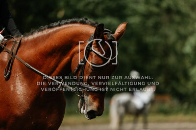 © Niki Buchegger, turnier-fotos.at