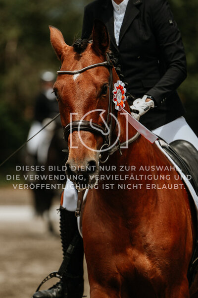 © Niki Buchegger, turnier-fotos.at