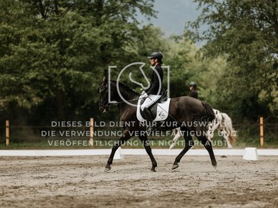 © Niki Buchegger, turnier-fotos.at
