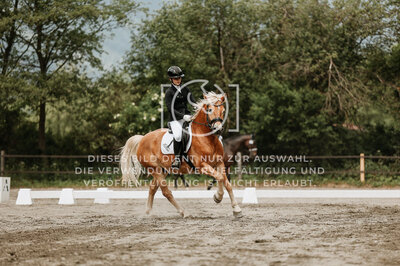 © Niki Buchegger, turnier-fotos.at