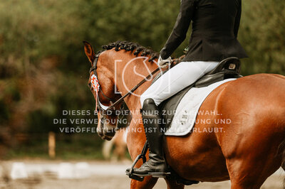 © Niki Buchegger, turnier-fotos.at