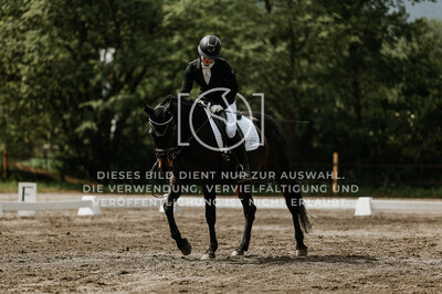 © Niki Buchegger, turnier-fotos.at