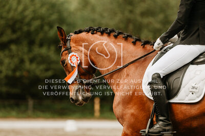 © Niki Buchegger, turnier-fotos.at