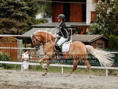 © Niki Buchegger, turnier-fotos.at
