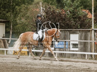 © Niki Buchegger, turnier-fotos.at