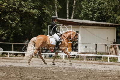 © Niki Buchegger, turnier-fotos.at