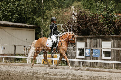 © Niki Buchegger, turnier-fotos.at