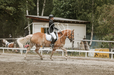 © Niki Buchegger, turnier-fotos.at