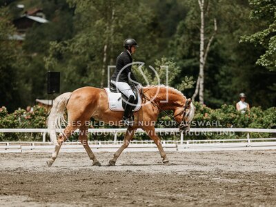© Niki Buchegger, turnier-fotos.at