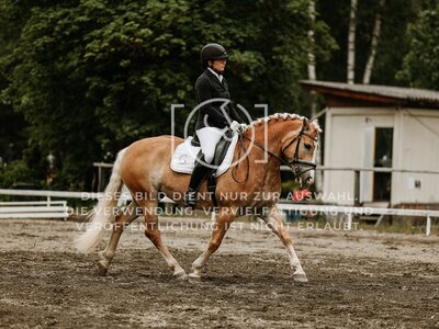 © Niki Buchegger, turnier-fotos.at