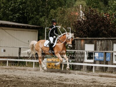 © Niki Buchegger, turnier-fotos.at