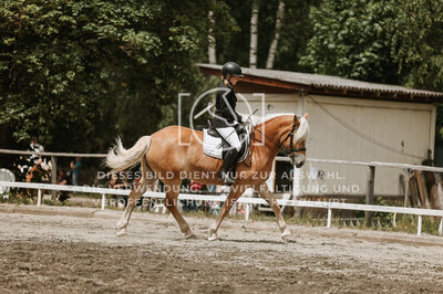 © Niki Buchegger, turnier-fotos.at