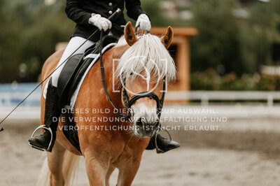 © Niki Buchegger, turnier-fotos.at