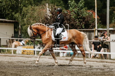 © Niki Buchegger, turnier-fotos.at