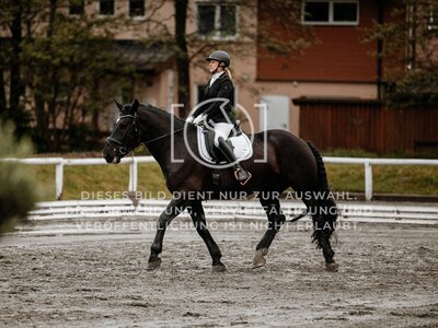 © Niki Buchegger, turnier-fotos.at