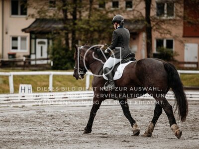 © Niki Buchegger, turnier-fotos.at
