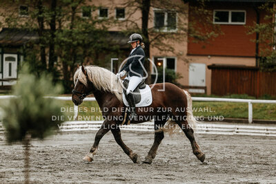 © Niki Buchegger, turnier-fotos.at