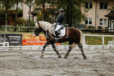 © Niki Buchegger, turnier-fotos.at