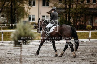 © Niki Buchegger, turnier-fotos.at