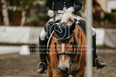 © Niki Buchegger, turnier-fotos.at