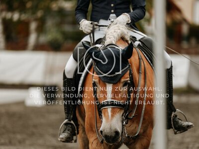 © Niki Buchegger, turnier-fotos.at