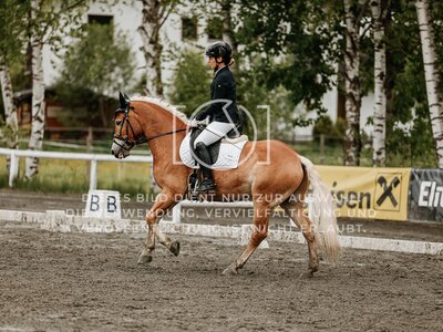 © Niki Buchegger, turnier-fotos.at