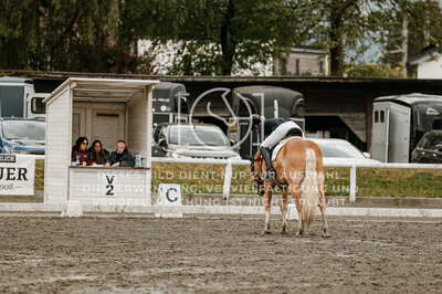 © Niki Buchegger, turnier-fotos.at