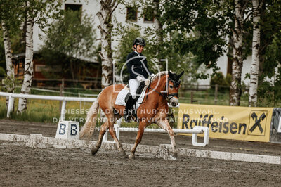 © Niki Buchegger, turnier-fotos.at