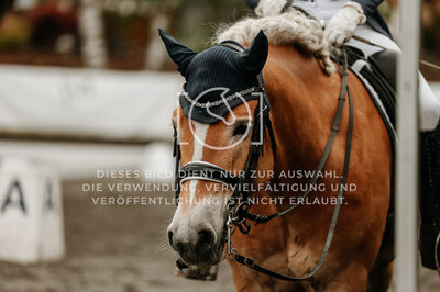 © Niki Buchegger, turnier-fotos.at