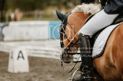 © Niki Buchegger, turnier-fotos.at