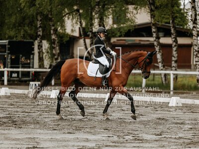 © Niki Buchegger, turnier-fotos.at
