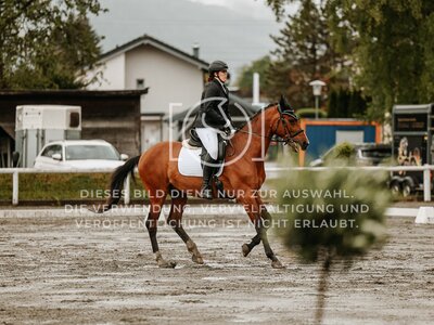 © Niki Buchegger, turnier-fotos.at