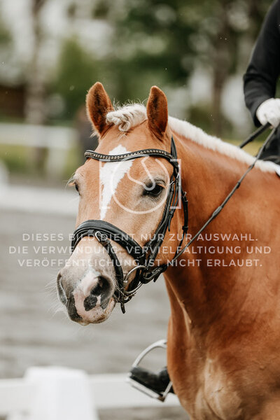 © Niki Buchegger, turnier-fotos.at