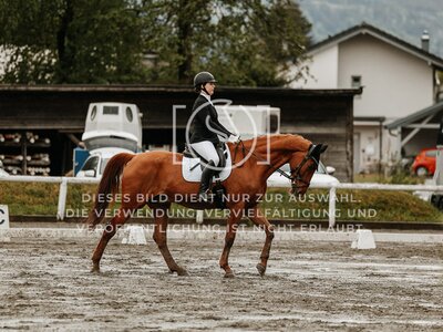 © Niki Buchegger, turnier-fotos.at