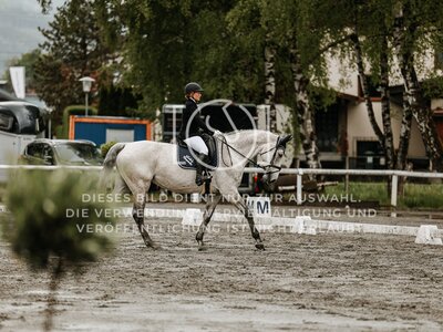 © Niki Buchegger, turnier-fotos.at