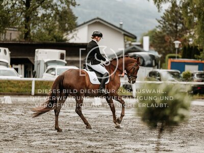 © Niki Buchegger, turnier-fotos.at