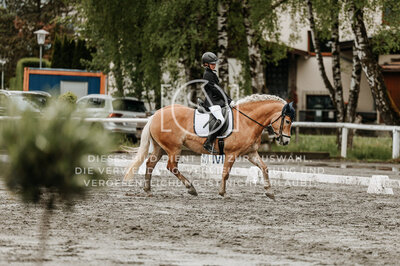 © Niki Buchegger, turnier-fotos.at