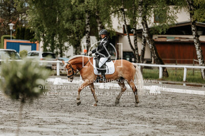 © Niki Buchegger, turnier-fotos.at