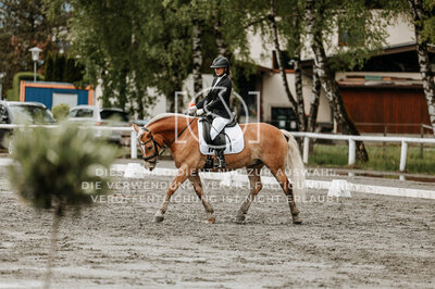 © Niki Buchegger, turnier-fotos.at