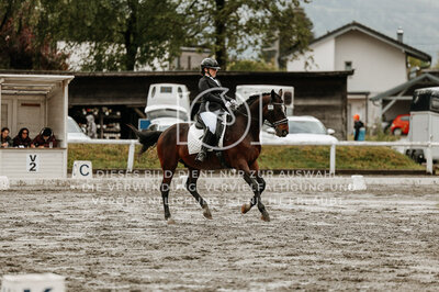 © Niki Buchegger, turnier-fotos.at