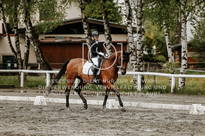 © Niki Buchegger, turnier-fotos.at