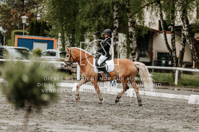 © Niki Buchegger, turnier-fotos.at