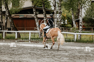 © Niki Buchegger, turnier-fotos.at