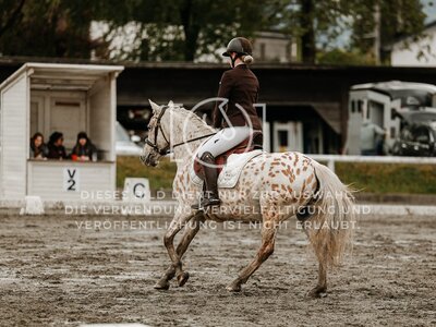 © Niki Buchegger, turnier-fotos.at