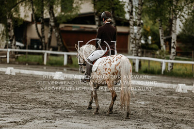 © Niki Buchegger, turnier-fotos.at