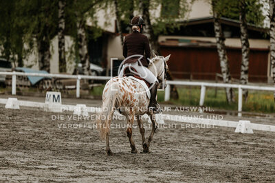© Niki Buchegger, turnier-fotos.at