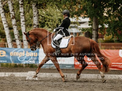 © Niki Buchegger, turnier-fotos.at