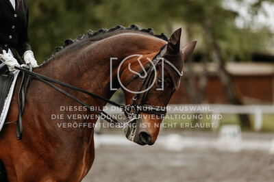 © Niki Buchegger, turnier-fotos.at