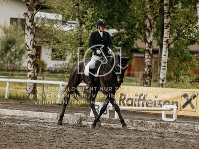 © Niki Buchegger, turnier-fotos.at